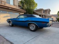 Dodge Challenger - <small></small> 79.000 € <small>TTC</small> - #6