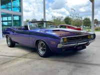 Dodge Challenger - <small></small> 103.000 € <small>TTC</small> - #3