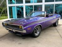 Dodge Challenger - <small></small> 103.000 € <small>TTC</small> - #12