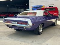 Dodge Challenger - <small></small> 79.000 € <small>TTC</small> - #5