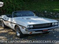 Dodge Challenger - <small></small> 121.800 € <small>TTC</small> - #25