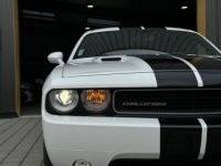 Dodge Challenger SRT8 HEMI V8 6.4 SRT8 Homologuée - <small></small> 39.990 € <small>TTC</small> - #42