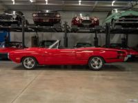 Dodge Coronet - <small></small> 75.000 € <small>TTC</small> - #7