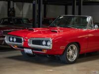 Dodge Coronet - <small></small> 75.000 € <small>TTC</small> - #10