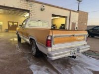 Dodge D Series D100  - <small></small> 21.000 € <small>TTC</small> - #3