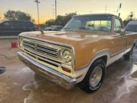 Dodge D Series D100  - <small></small> 21.000 € <small>TTC</small> - #5