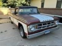 Dodge D Series D100 sweptside adventurer  - <small></small> 22.000 € <small>TTC</small> - #14