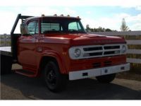 Dodge D Series D300  - <small></small> 27.000 € <small>TTC</small> - #13