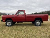 Dodge Pickup W250 diesel  - <small></small> 49.000 € <small>TTC</small> - #8