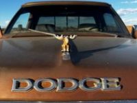 Dodge Ram - <small></small> 18.000 € <small>TTC</small> - #17