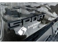 Dodge Ram gt sport night 12p 5.7l 4x4 tout compris hors homologation 4500e - <small></small> 54.903 € <small>TTC</small> - #8