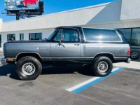 Dodge Ramcharger - <small></small> 27.000 € <small>TTC</small> - #2