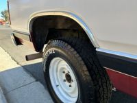 Dodge Ramcharger - <small></small> 20.600 € <small>TTC</small> - #12