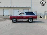 Dodge Ramcharger - <small></small> 28.700 € <small>TTC</small> - #6