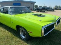 Dodge Super Bee - <small></small> 74.800 € <small>TTC</small> - #2