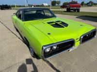 Dodge Super Bee - <small></small> 74.800 € <small>TTC</small> - #9