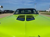 Dodge Super Bee - <small></small> 74.800 € <small>TTC</small> - #13