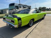 Dodge Super Bee - <small></small> 74.800 € <small>TTC</small> - #14