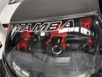 Dodge Viper DODGE VIPER SRT10 MAMBA EDITION – (82/200) - <small></small> 128.000 € <small></small> - #29