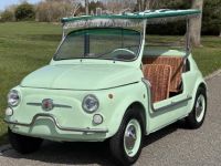 Fiat 500 Jolly - <small></small> 45.000 € <small>TTC</small> - #14