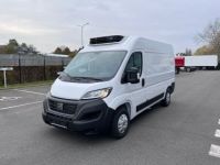 Fiat Ducato 2023 L2H2 KOELWAGEN 140 PK MANUELE TRANSMISSIE - <small></small> 56.749 € <small></small> - #1