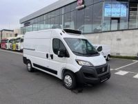 Fiat Ducato 2023 L2H2 KOELWAGEN 140 PK MANUELE TRANSMISSIE - <small></small> 56.749 € <small></small> - #2