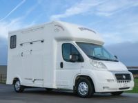 Fiat Ducato Horsetruck - 2 PAARDS - TREKHAAK - AIRCO - LICHTE VRACHT - <small></small> 29.999 € <small>TTC</small> - #5