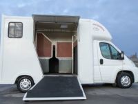 Fiat Ducato Horsetruck - 2 PAARDS - TREKHAAK - AIRCO - LICHTE VRACHT - <small></small> 29.999 € <small>TTC</small> - #6