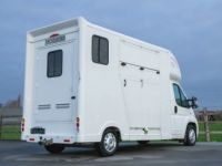 Fiat Ducato Horsetruck - 2 PAARDS - TREKHAAK - AIRCO - LICHTE VRACHT - <small></small> 29.999 € <small>TTC</small> - #7