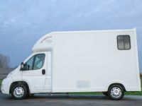 Fiat Ducato Horsetruck - 2 PAARDS - TREKHAAK - AIRCO - LICHTE VRACHT - <small></small> 29.999 € <small>TTC</small> - #10