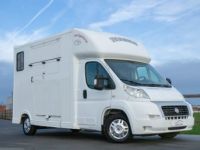 Fiat Ducato Horsetruck - 2 PAARDS - TREKHAAK - AIRCO - LICHTE VRACHT - <small></small> 29.999 € <small>TTC</small> - #37