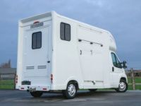 Fiat Ducato Horsetruck - 2 PAARDS - TREKHAAK - AIRCO - LICHTE VRACHT - <small></small> 29.999 € <small>TTC</small> - #38