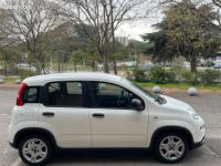 Fiat Panda 1.0 70CH HYBRID BSG MHEV EASY - <small></small> 11.990 € <small>TTC</small> - #7