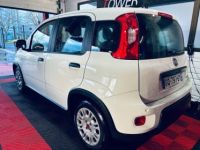 Fiat Panda bsg 70 1550 KMS - <small></small> 11.490 € <small>TTC</small> - #4