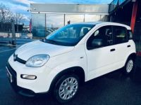 Fiat Panda bsg 70 1550 KMS - <small></small> 11.490 € <small>TTC</small> - #6