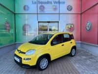 Fiat Panda Classic 1.0 70ch BSG S&S City - <small></small> 14.490 € <small>TTC</small> - #1