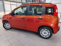 Fiat Panda III 1.2 8v 69ch Pop - <small></small> 6.990 € <small>TTC</small> - #6