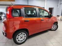 Fiat Panda III 1.2 8v 69ch Pop - <small></small> 6.990 € <small>TTC</small> - #9