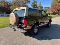 Ford Bronco - <small></small> 37.000 € <small>TTC</small> - #27