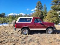 Ford Bronco - <small></small> 23.000 € <small>TTC</small> - #1