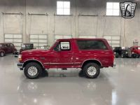 Ford Bronco - <small></small> 50.700 € <small>TTC</small> - #4