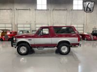 Ford Bronco - <small></small> 36.000 € <small>TTC</small> - #4