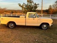 Ford F100 F-100  - <small></small> 22.000 € <small>TTC</small> - #3