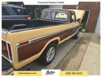 Ford F100 F-100  - <small></small> 21.000 € <small>TTC</small> - #15