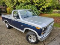 Ford F100 pickup  - <small></small> 27.200 € <small>TTC</small> - #8