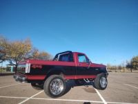 Ford F150 F-150  - <small></small> 25.000 € <small>TTC</small> - #5