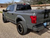 Ford F150 shelby offroad edition 2019 - <small></small> 145.900 € <small>TTC</small> - #8