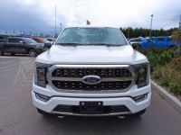 Ford F150 Supercrew Platinum - <small></small> 64.900 € <small>TTC</small> - #10