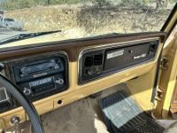 Ford F250 F-250  - <small></small> 19.000 € <small>TTC</small> - #9