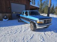 Ford F250 F-250  - <small></small> 19.800 € <small>TTC</small> - #2